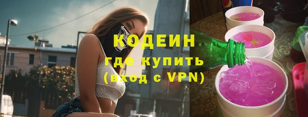 шишки Баксан