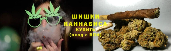 шишки Баксан