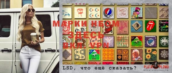 шишки Баксан