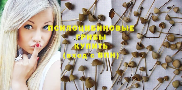 МДПВ Балахна