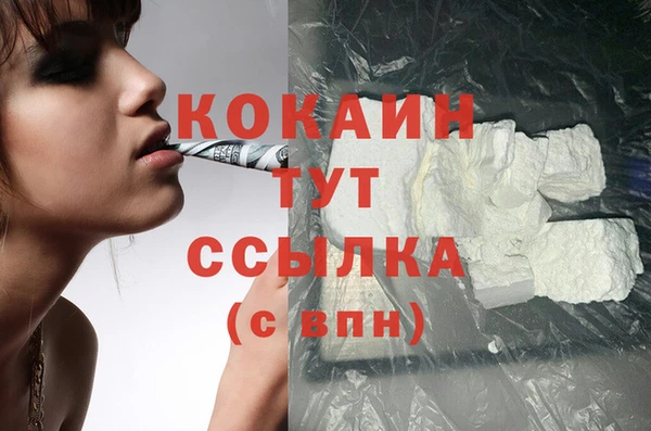 шишки Баксан