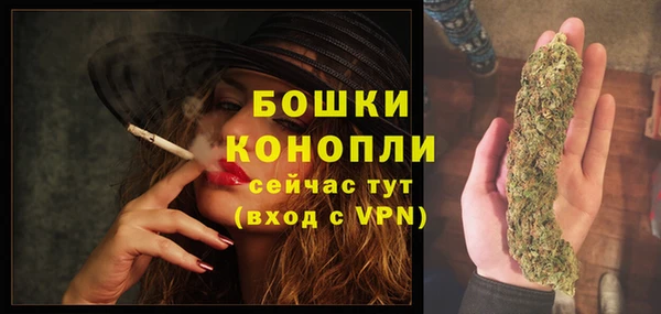 шишки Баксан